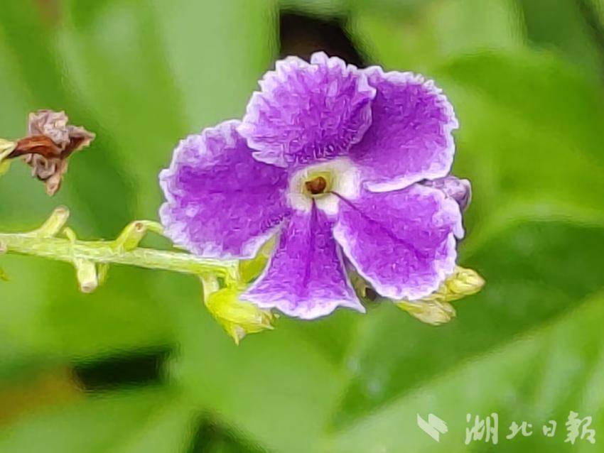 永利微信充值